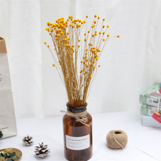 Piccolo bouquet di gipsofila secca naturale