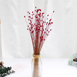 Piccolo bouquet di gipsofila secca naturale