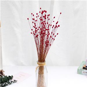 Piccolo bouquet di gipsofila secca naturale