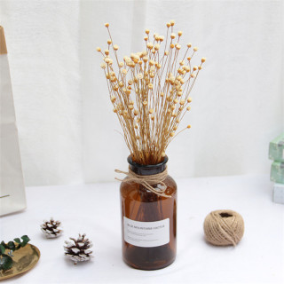 Piccolo bouquet di gipsofila secca naturale