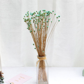 Piccolo bouquet di gipsofila secca naturale