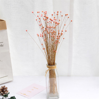 Piccolo bouquet di gipsofila secca naturale