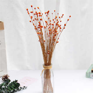 Piccolo bouquet di gipsofila secca naturale