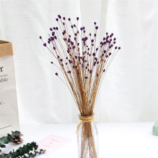 Piccolo bouquet di gipsofila secca naturale
