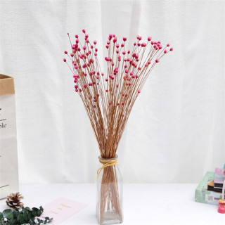 Piccolo bouquet di gipsofila secca naturale
