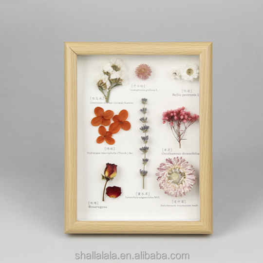 फ़ोटो फ़्रेम प्रदर्शन फ़्रेम लकड़ी दबाया हुआ फूल