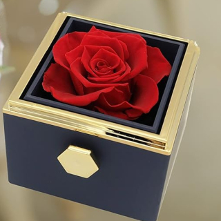 Véritables cadeaux de boîte de roses éternelles préservées