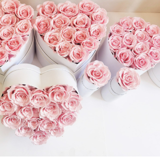 Rose stabilizzate di diverse dimensioni in una scatola a cuore