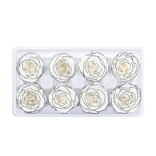 सफेद संरक्षित गुलाब 4-5 सेमी काला बॉर्डर