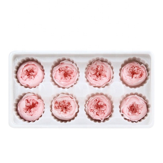 संरक्षित ऑस्टिन गुलाब के सिर