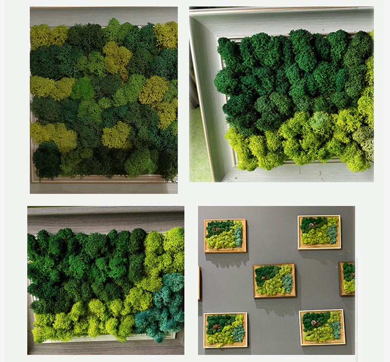 preserved moss decor