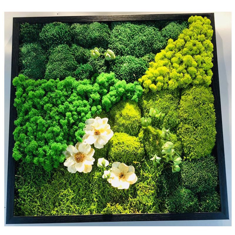 preserved moss