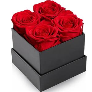 Rose stabilizzate di alta qualità in scatola