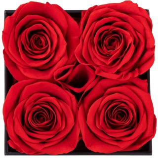 Rose stabilizzate di alta qualità in scatola