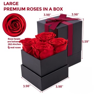 Rose stabilizzate di alta qualità in scatola