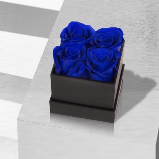 Regalo in scatola di rose vere con 4 teste conservate