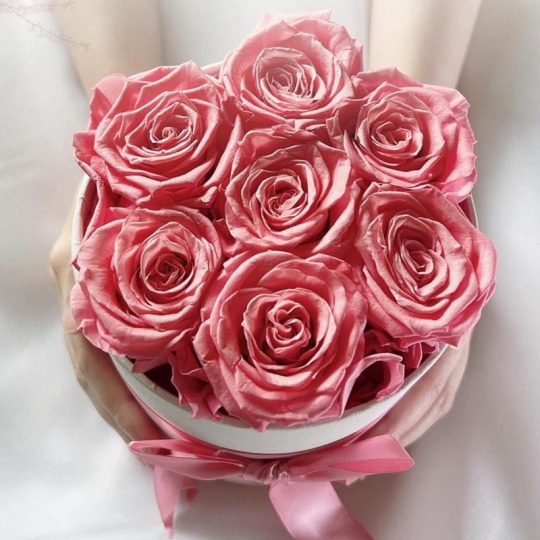 7 cabeças de rosas eternas em caixa de presente