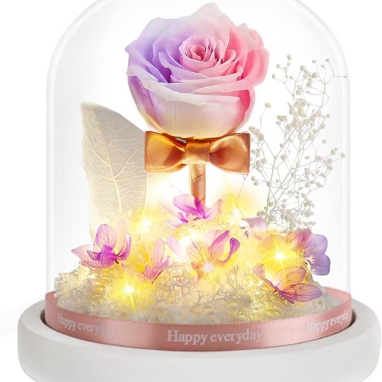 Presente de luxo com cúpula de vidro para sempre rosas