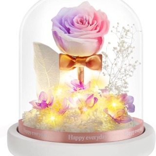 Kubah Kaca Mewah Hadiah Forever Roses