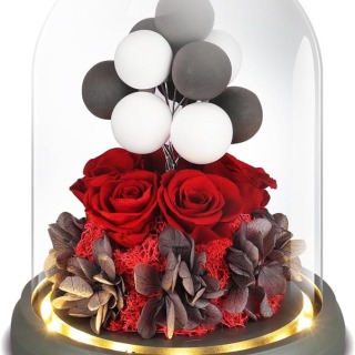 Rosa eterna conservata di lusso in cupola di vetro