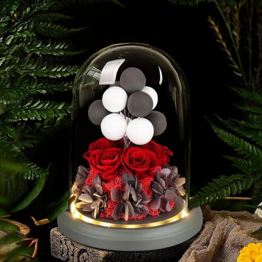 Rosa Eterna Preservada de Luxo em Cúpula de Vidro