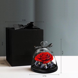 Rosa eterna singola con cupola in vetro
