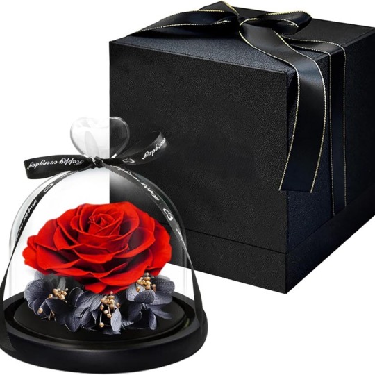 कांच के गुंबद में एकल शाश्वत गुलाब