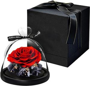 Rosa eterna singola con cupola in vetro
