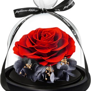 Rosa eterna singola con cupola in vetro