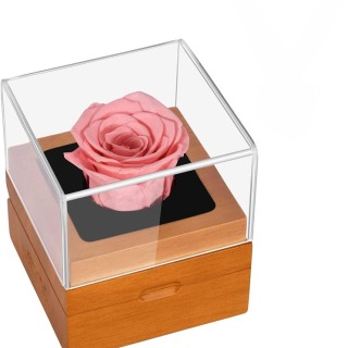 Roses conservées à la main dans une boîte cadeau
