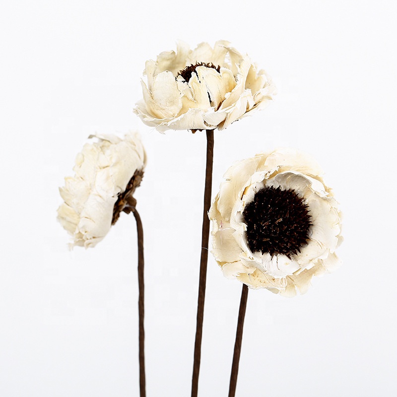 dried flower