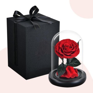 Regalo di rose stabilizzate in cupola di vetro