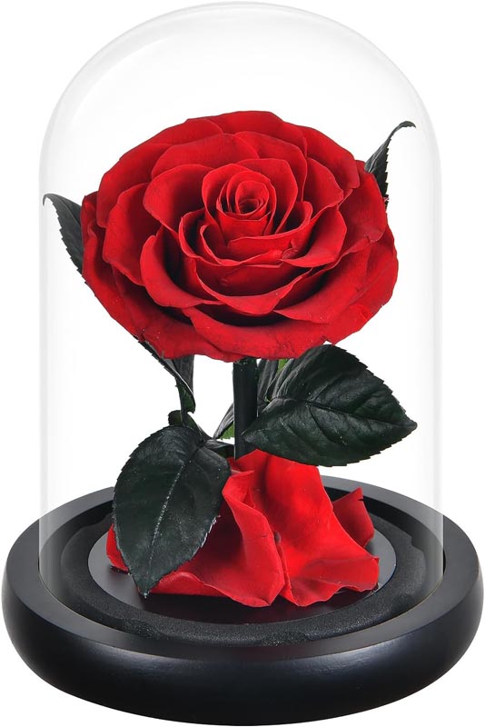 preserved rose