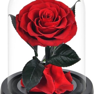 Regalo di rose stabilizzate in cupola di vetro