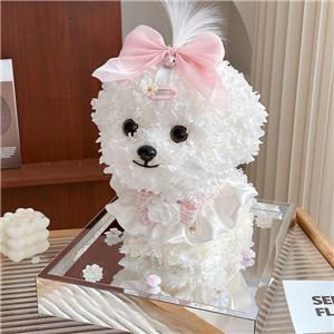 Decorazione per cani carini con ortensia conservata