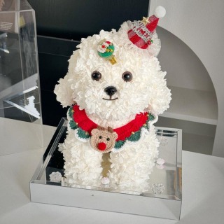 Decorazione per cani carini con ortensia conservata