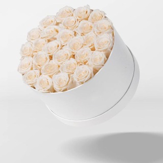 Confezione regalo con rosa eterna bianca