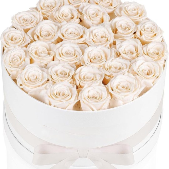सफेद शाश्वत गुलाब बॉक्स उपहार