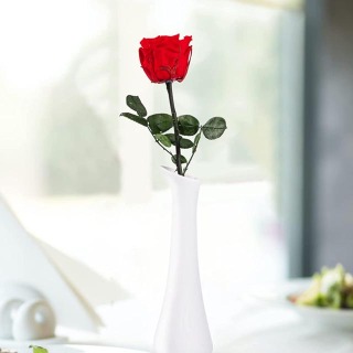 Scatola singola per rose stabilizzate