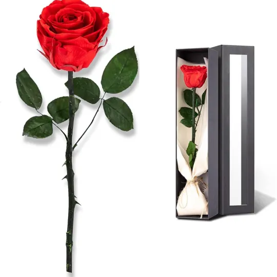 Boîte à roses préservées unique