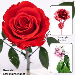 Scatola singola per rose stabilizzate