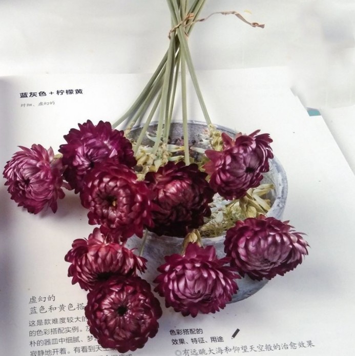 dried flower