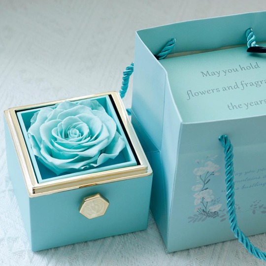 Konservierte Rosen-Schmuckschatulle