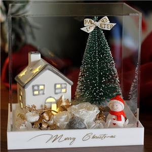 Hiasan Mawar Terpelihara Pokok Krismas Dalam Kotak Akrilik