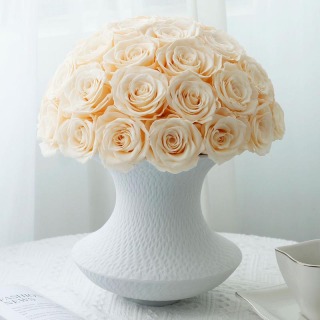 Decorazione domestica del vaso di rose stabilizzate