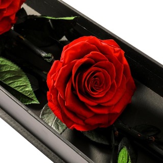 Confezione regalo con 3 teste di rose fresche stabilizzate