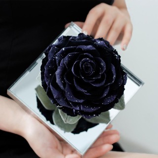 Rosa stabilizzata in confezione regalo acrilica