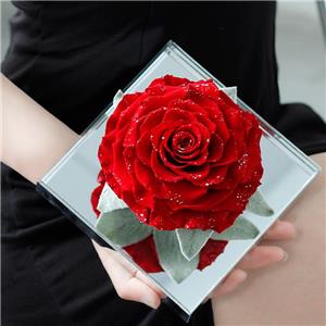 Rosa stabilizzata in confezione regalo acrilica