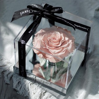 Rosa stabilizzata in confezione regalo acrilica