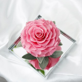 Rosa stabilizzata in confezione regalo acrilica